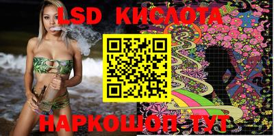 spice Кунгур