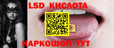 spice Кунгур