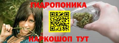 spice Кунгур