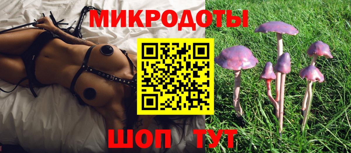 Зима  Псилоцибиновые грибы MAGIC MUSHROOMS  Вход с VPN 