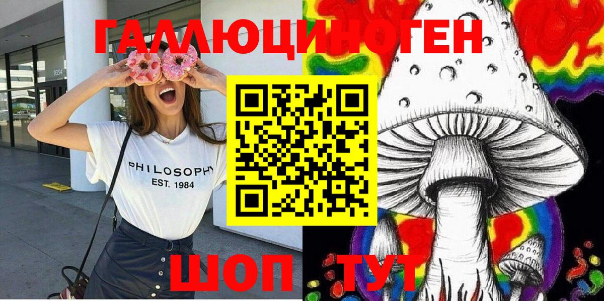 Псилоцибиновые грибы мицелий Зима